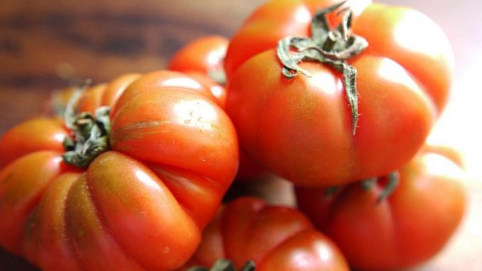 pomodoro marinda caratteristiche e ricette