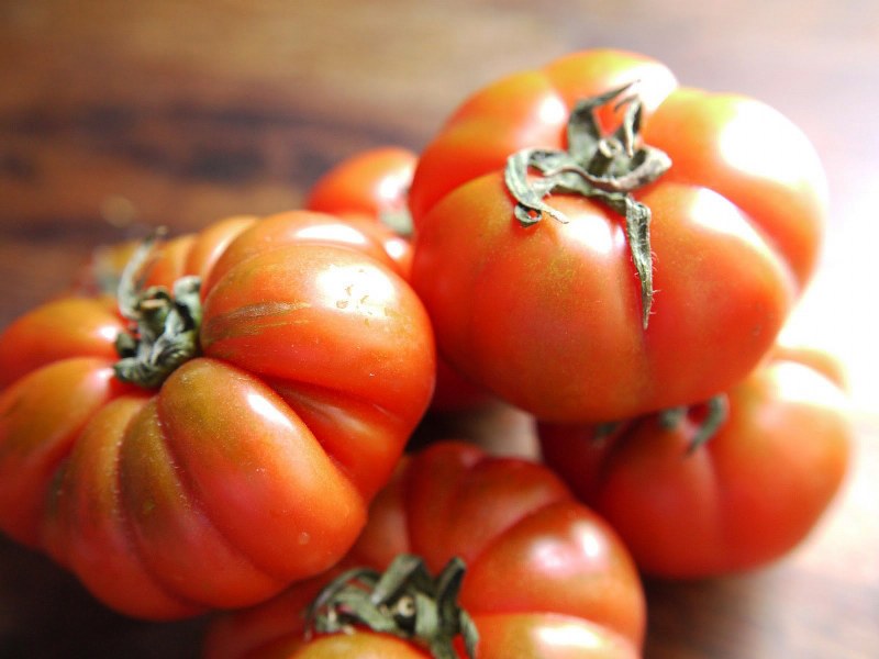 pomodoro marinda caratteristiche e ricette